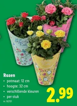 Aanbieding: Rozen