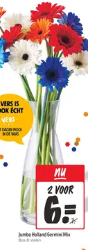 Aanbieding: Jumbo Holland Germini Mix