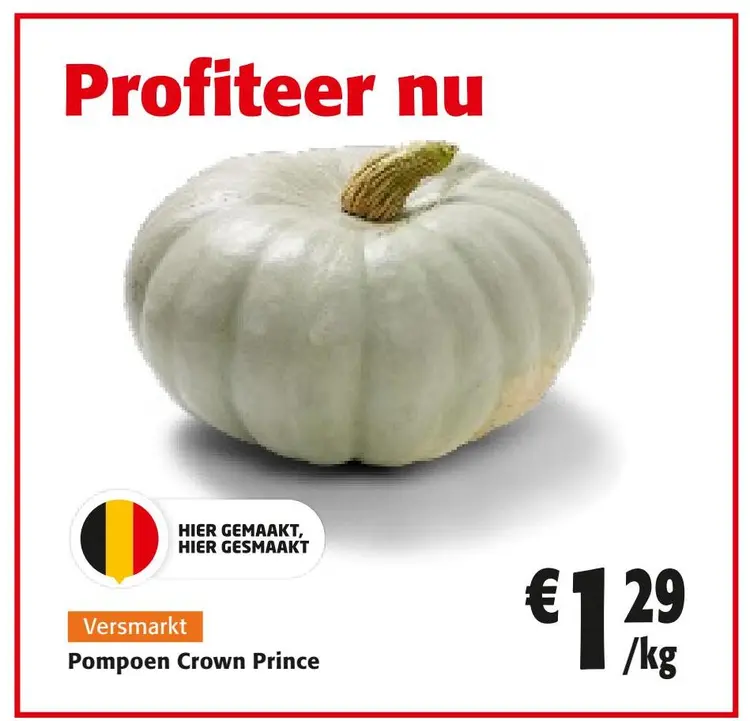 Aanbieding: Pompoen Crown Prince