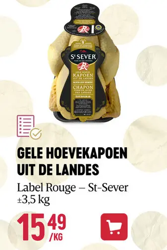 Aanbieding: Gele hoevekapoen uit de landes