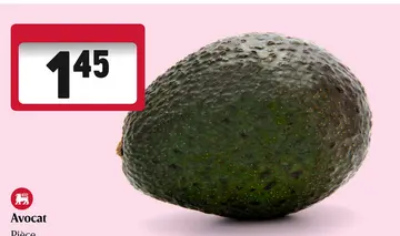Offre: Avocat