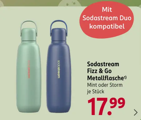 Aanbieding: Fizz & Go Metallflasche