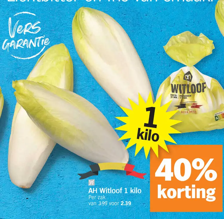 Promotie: Witloof