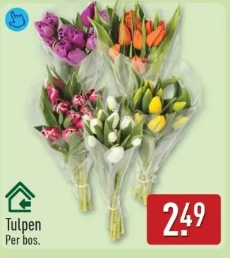 Aanbieding: Tulpen