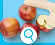 Offre: Pommes Jonagold