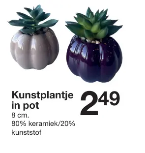 Promotie: Kunstplantje in pot