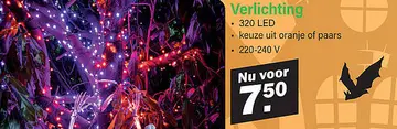 Aanbieding: Skelet met beenderen