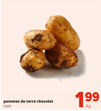 Offre: pommes de terre chocolat