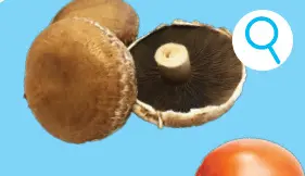 Offre: Champignons Portobello