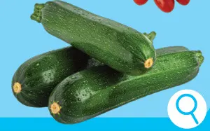 Offre: Courgettes