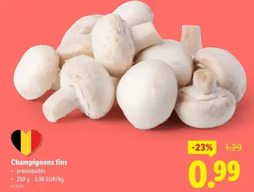 Offre: Champignons fins