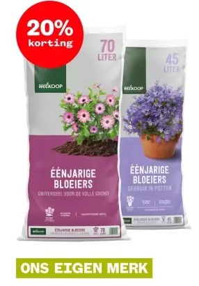 Aanbieding: Éénjarige bloeiers