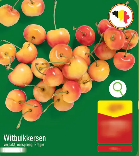 Promotie: Witbuikkersen