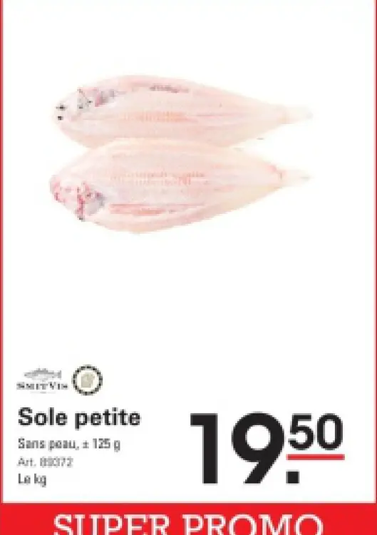 Offre: Sole petite