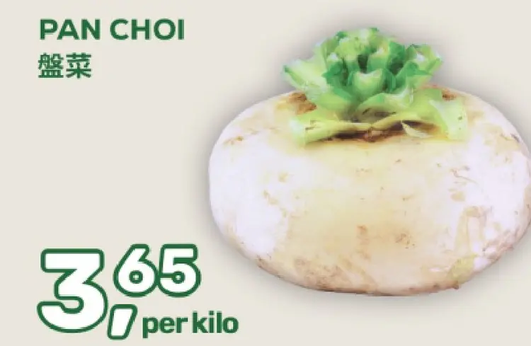 Aanbieding: Pan choi