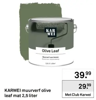 Aanbieding: Muurverf olive leaf mat