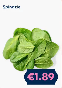 Aanbieding: Spinazie