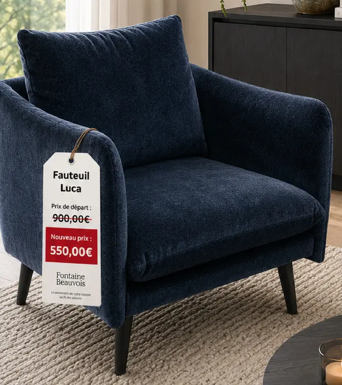 Offre: Fauteuil Luca