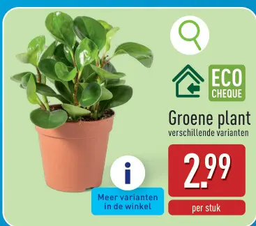 Promotie: Groene plant