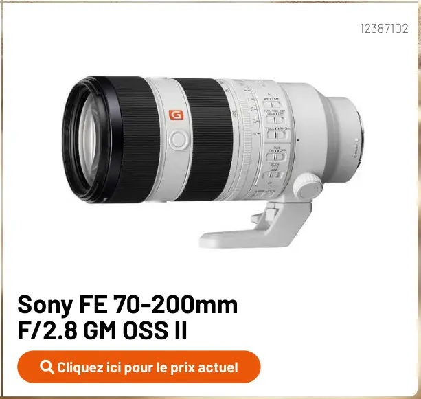Offre: FE 70-200mm F/2.8 GM OSS II