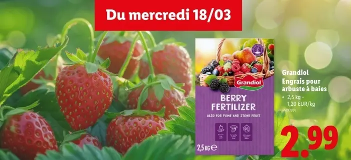 Offre: Engrais pour arbuste à baies