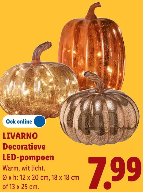 Aanbieding: Decoratieve LED-pompoen
