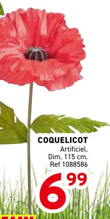 Offre: Coquelicot
