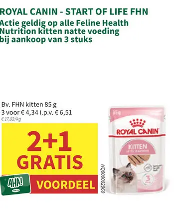 Aanbieding: FHN kitten