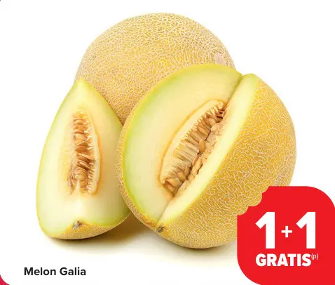 Offre: Melon Galia