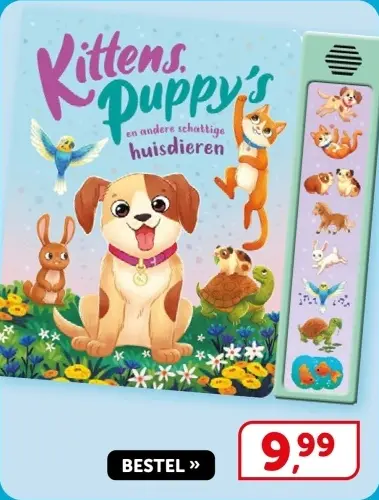 Aanbieding: Kittens, Puppy's en andere schattige huisdier
