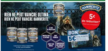 Offre: Ultima HAMMERITE