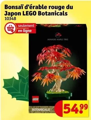 Offre: Bonsaï d'érable rouge du Japon