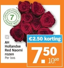 Aanbieding: Hollandse Red Naomi rozen