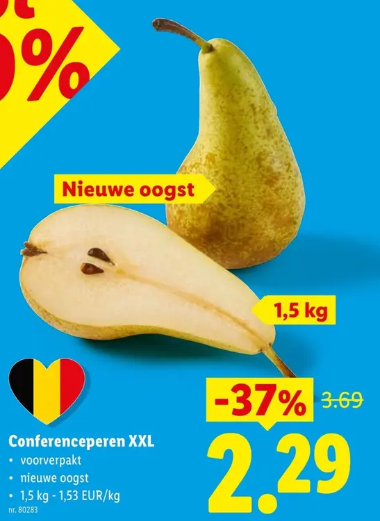Promotie: Conferenceperen XXL