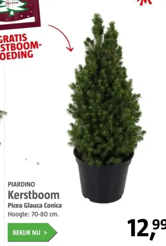 Aanbieding: Kerstboom