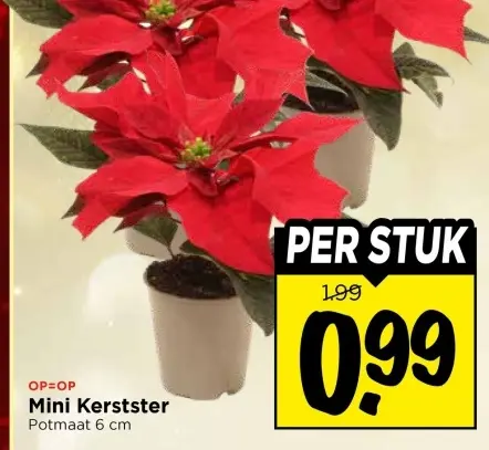 Aanbieding: Mini Kerstster
