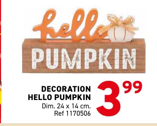 Offre: Decoration hello pumpkin