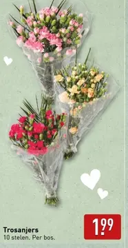 Aanbieding: Trosanjers