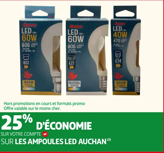 Promotie: Ampoules LED