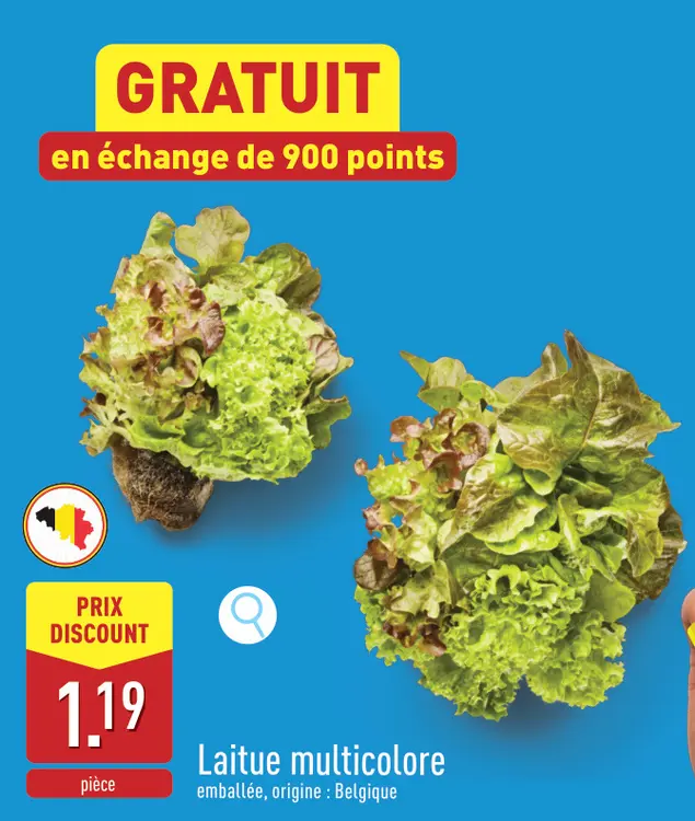 Offre: Laitue multicolore