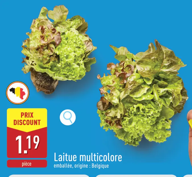 Offre: Laitue multicolore