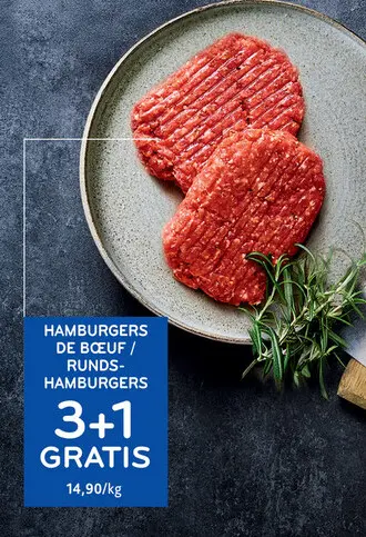 Offre: Hamburgers de bœuf / runds-hamburgers