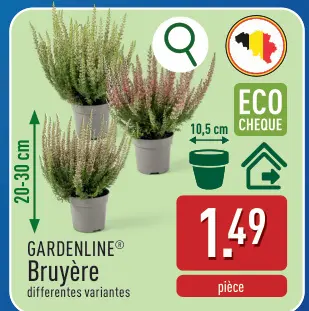 Offre: GARDENLINE® Bruyère
