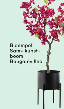 Aanbieding: Bloempot Sam + kunst-boom Bougainvillea