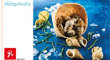 Aanbieding: BULOTS CUITS