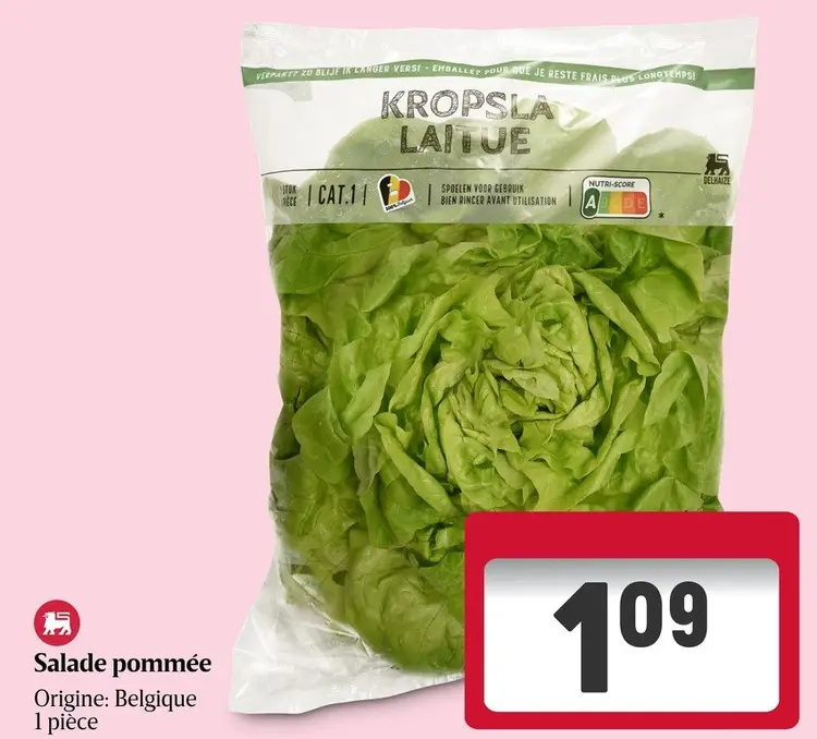 Offre: Salade pommée