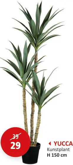 Promotie: Kunstplant Yucca
