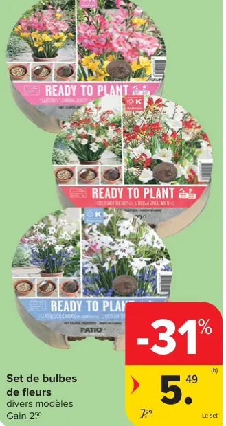 Offre: Set de bulbes de fleurs
