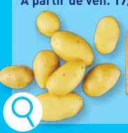 Offre: Pommes de terre