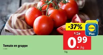 Offre: Tomate en grappe